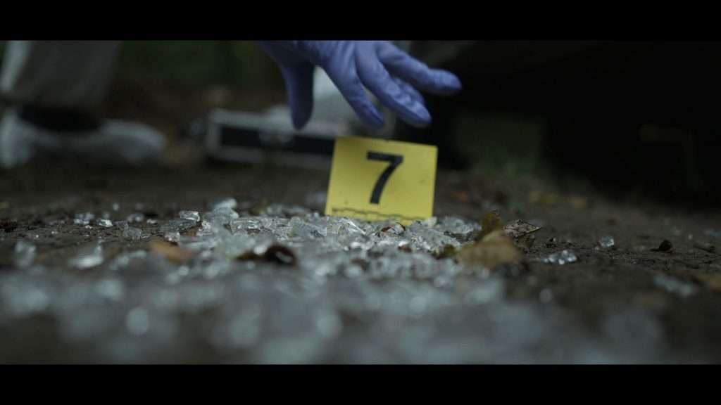 The Chevaline Killings: finding the missing piece