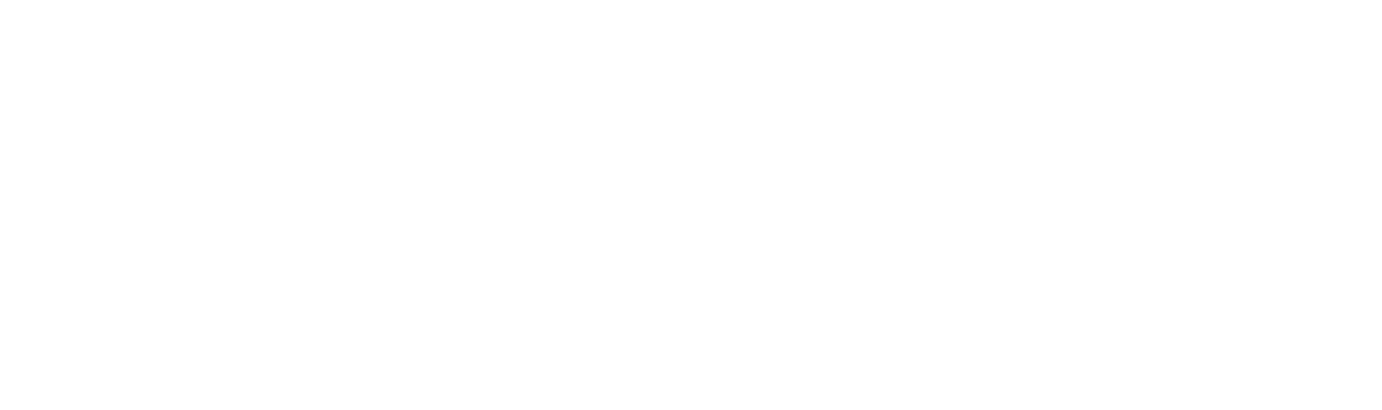 Image module