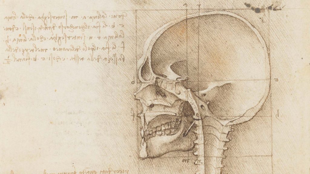 Leonardo da Vinci